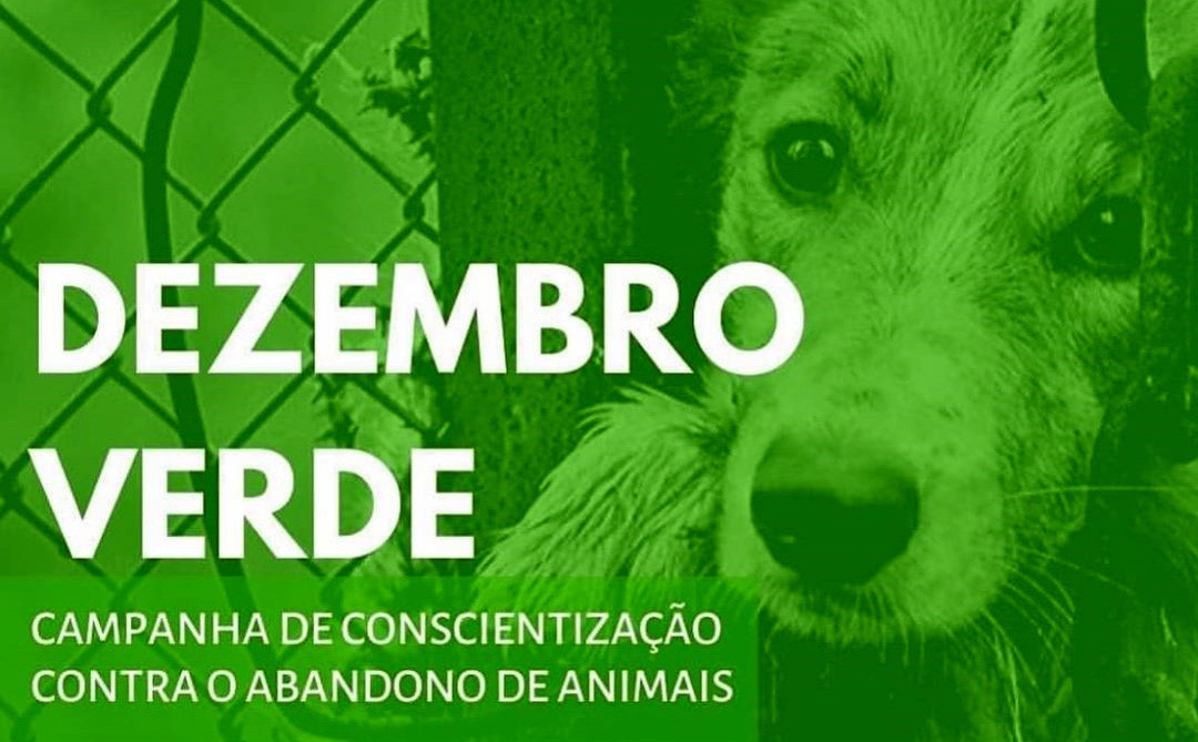 Campanha Dezembro Verde Realiza A Es De Alerta Sobre O Abandono De