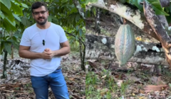 Valderico Júnior comemora alta do cacau e destaca importância do fruto para economia ilheense
