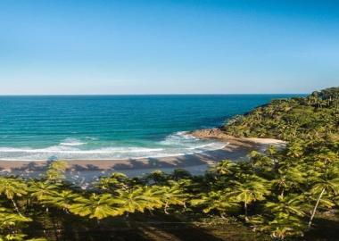 Acordo do MPBA e MPF viabiliza execução de primeiro Cetas marinho da Bahia e Cetas Terrestre na Costa do Cacau