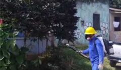 Agentes de Endemias realizam ação emergencial contra arboviroses em Urucutuca, distrito de Ilhéus