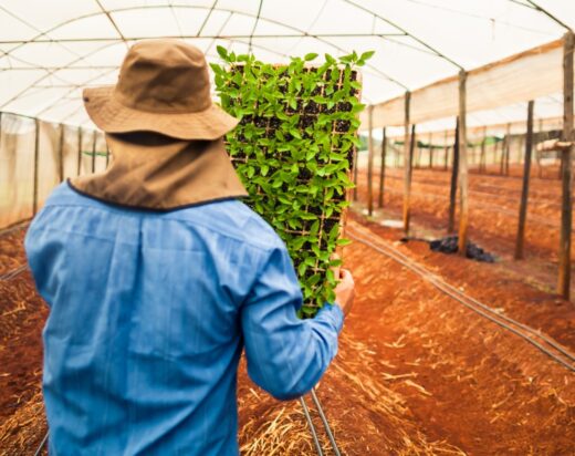 Bahia poderá receber nova unidade de Escola de Agronegócio
