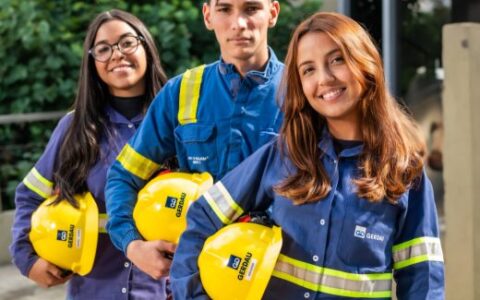 Gerdau abre mais de 230 vagas para programa de estágio