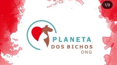 Legislação municipal garante à Secretaria de Saúde a gestão do controle de animais urbanos, alerta ONG