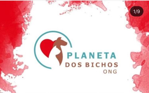 Legislação municipal garante à Secretaria de Saúde a gestão do controle de animais urbanos, alerta ONG