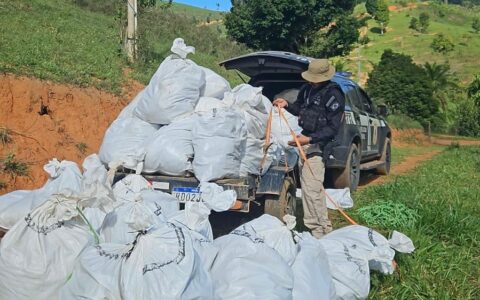 Operação Amordaçar apreende mais de meia tonelada de maconha em Itamaraju