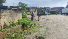 Prefeitura de Ilhéus inicia limpeza e roçagem no bairro Iguape