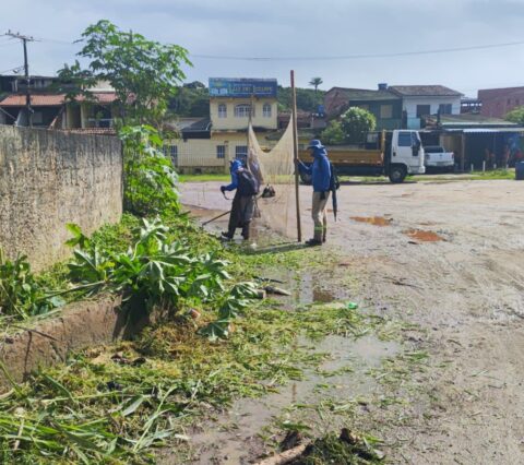 Prefeitura de Ilhéus inicia limpeza e roçagem no bairro Iguape