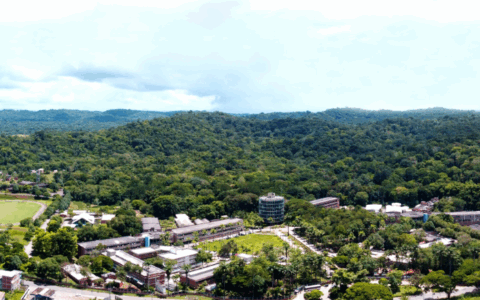 Uesc Abre Inscrições para o 11º Circuito das Profissões: Uma Janela para o Futuro Acadêmico
