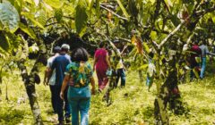 Dengo Origem abre o espaço ao público com evento cultural e visitação gratuita à cabruca