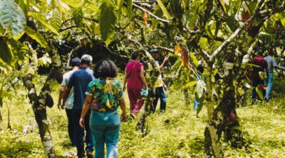 Dengo Origem abre o espaço ao público com evento cultural e visitação gratuita à cabruca