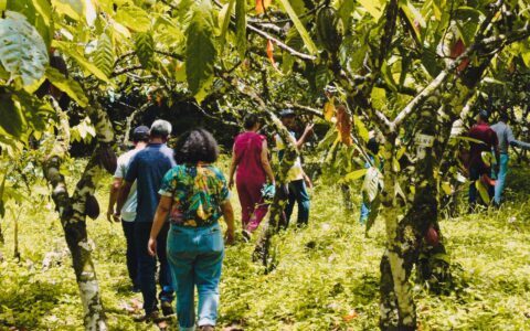 Dengo Origem abre o espaço ao público com evento cultural e visitação gratuita à cabruca