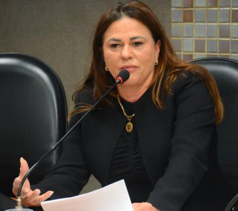 Deputada Soane  Galvão luta pela requalificação da Ponte Ilhéus-Pontal