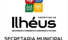 Ilhéus abre credenciamento de clínicas veterinárias para ampliar castração de cães e gatos