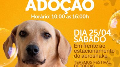 Abril Laranja: Ilhéus terá caminhada contra crueldade animal e feira de adoção de animais neste final de semana