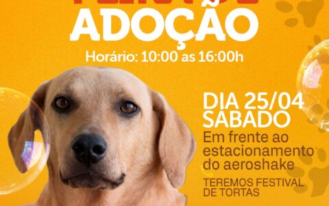 Abril Laranja: Ilhéus terá caminhada contra crueldade animal e feira de adoção de animais neste final de semana