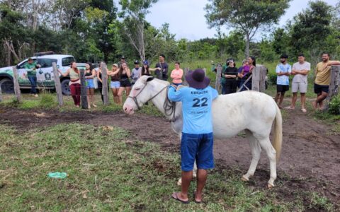 Uesc realiza visita técnica de estudantes de Medicina Veterinária a Caraíva, em Porto Seguro