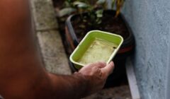 Bahia registra queda de 41% nos casos de dengue em 2026