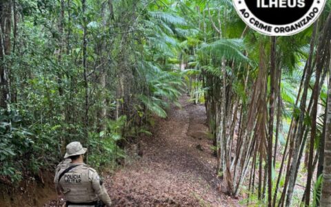 FICCO/Ilhéus deflagra segunda fase da Operação Midas na Bahia