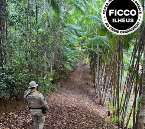 FICCO/Ilhéus deflagra segunda fase da Operação Midas na Bahia