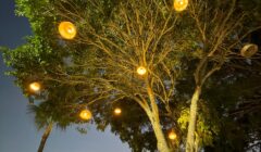 Ilhéus entrega iluminação cênica e revitalização da Praça da Sapetinga