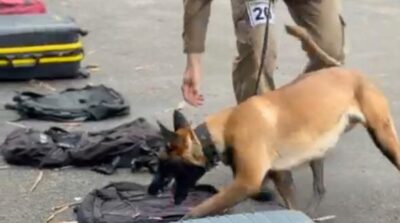 Batalhão de Choque realiza 1ª Curso Básico de Policiamento com Cães