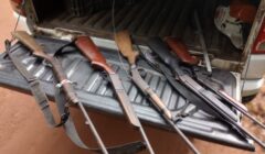 PM apreende armas em ação contra caça ilegal na cidade de Una