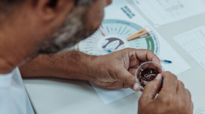Cursos de análise sensorial do CIC antecedem Chocolat Festival em Ilhéus