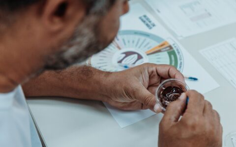 Cursos de análise sensorial do CIC antecedem Chocolat Festival em Ilhéus