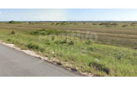 Terras avaliadas em R$ 279 mi, de empresa de engenharia falida na Bahia, vão a leilão com lance inicial de R$ 1 mil
