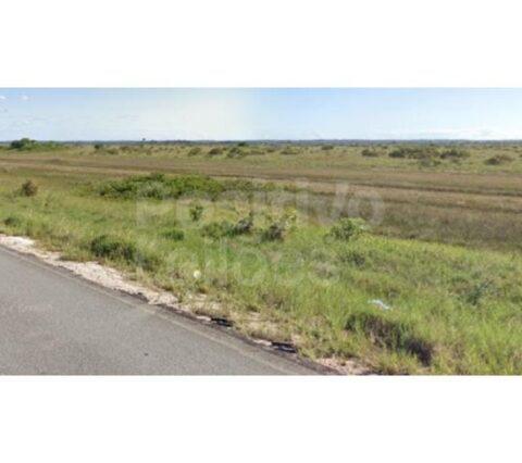 Terras avaliadas em R$ 279 mi, de empresa de engenharia falida na Bahia, vão a leilão com lance inicial de R$ 1 mil