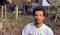 #Vinicius Quilombolas  e mais de 400 famílias Quilombolas enfrentam na justiça , posse da história fazenda Sesmaria Tijuca