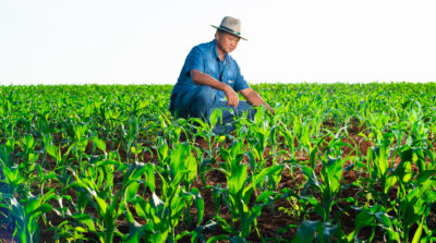 Ilhéus homenageia produtores e leva educação ambiental às escolas no Dia Nacional do Campo Limpo