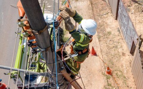 Neoenergia Coelba leva Operação Gatonet a Ilhéus e mais 21 cidades a partir de segunda-feira