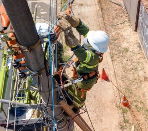 Neoenergia Coelba leva Operação Gatonet a Ilhéus e mais 21 cidades a partir de segunda-feira