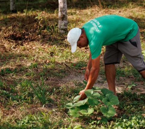 Edital seleciona cidades do sul da Bahia para projeto que fortalece alimentação escolar agroecológica
