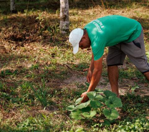 Edital seleciona cidades do sul da Bahia para projeto que fortalece alimentação escolar agroecológica