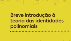 Editus publica o primeiro livro em língua portuguesa sobre a Teoria das Identidades Polinomiais