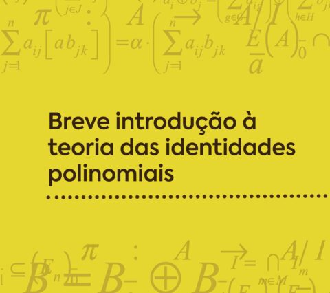 Editus publica o primeiro livro em língua portuguesa sobre a Teoria das Identidades Polinomiais