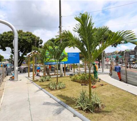 Prefeitura de Ilhéus entrega requalificação do canteiro central da Praça Cairu nesta sexta-feira
