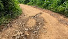 Prefeitura esclarece situação de estrada na Carobeira