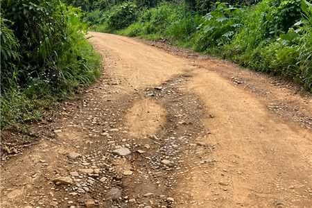 Prefeitura esclarece situação de estrada na Carobeira