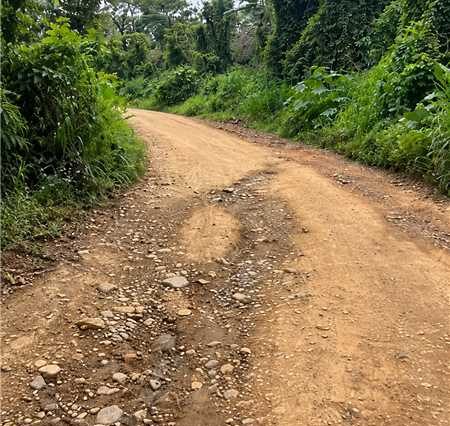 Prefeitura esclarece situação de estrada na Carobeira