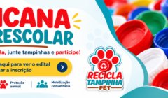 ONG Planeta dos Bichos promove competição de Coleta de Tampinhas Plásticas entre as escolas de Ilhéus